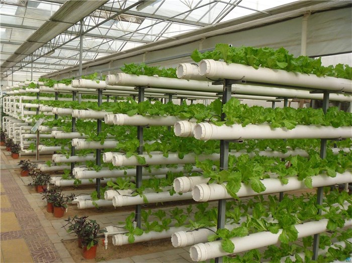 合肥市植物工厂种植槽 - 推荐