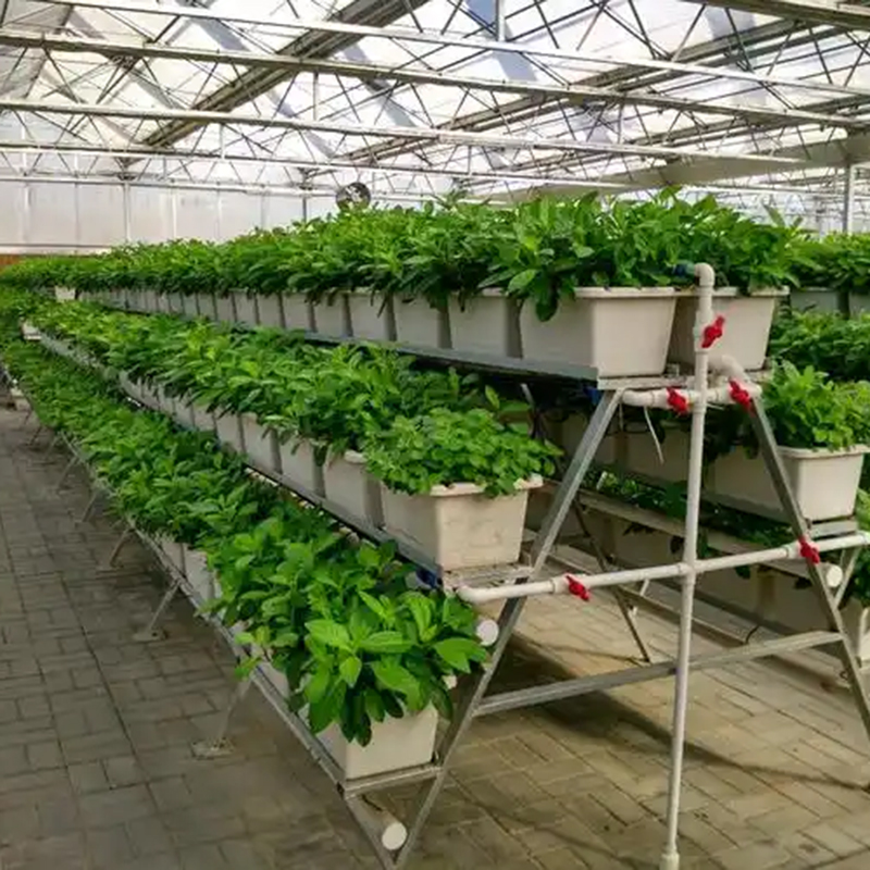 合肥市植物工厂大棚 - 哪里好
